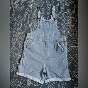 Denim Striped Overalls